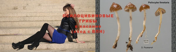 2c-b Бронницы
