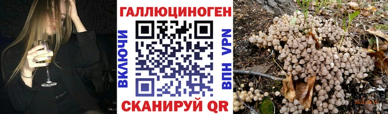 Галлюциногенные грибы мухоморы  Медынь 